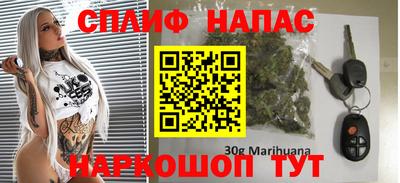 гашик Моздок