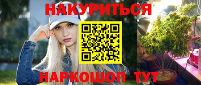 гашик Моздок
