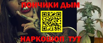 гашик Моздок