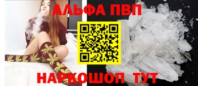 гашик Моздок