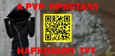 гашик Моздок