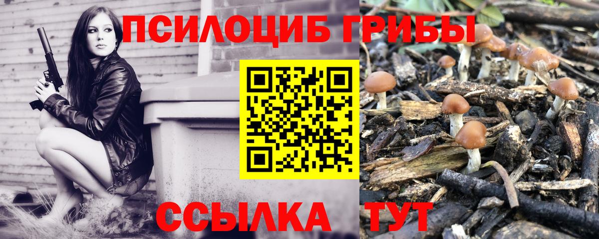 Галлюциногенные грибы прущие грибы  Вход с VPN  Тула 