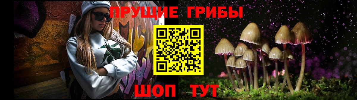 Псилоцибиновые грибы Psilocybine cubensis Тула